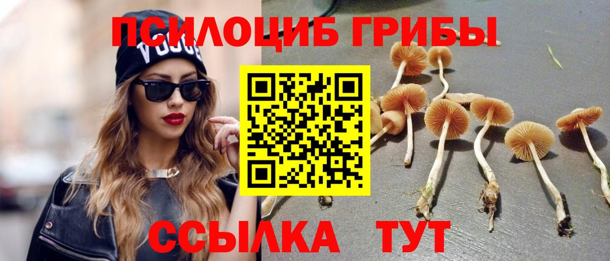 Алатырь  закладка  Галлюциногенные грибы MAGIC MUSHROOMS  Вход с VPN  Псилоцибиновые грибы GOLDEN TEACHER 